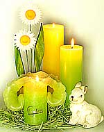 Lotuscandel springteim